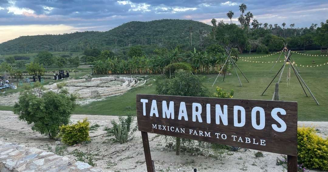 safe driving to Cabo Tamarindos farm to table restaurant